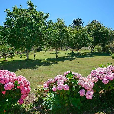 Pension Casa Elena Reinante Dış mekan fotoğraf