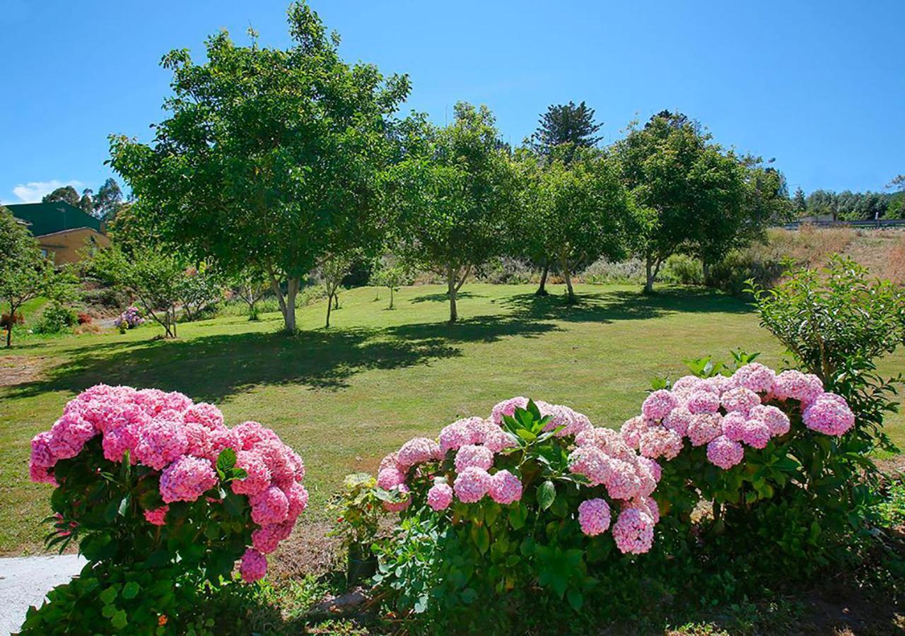 Pension Casa Elena Reinante Dış mekan fotoğraf