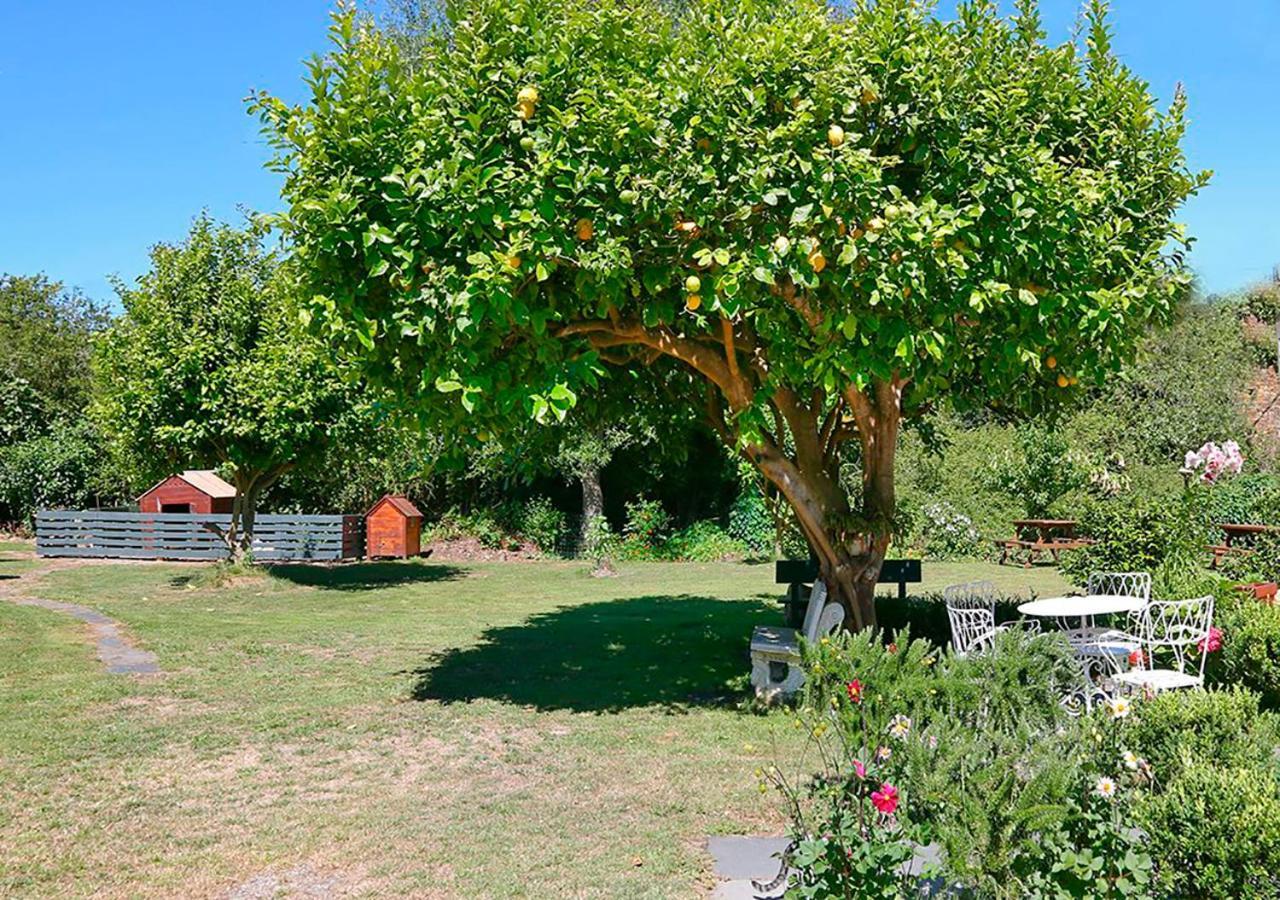 Pension Casa Elena Reinante Dış mekan fotoğraf