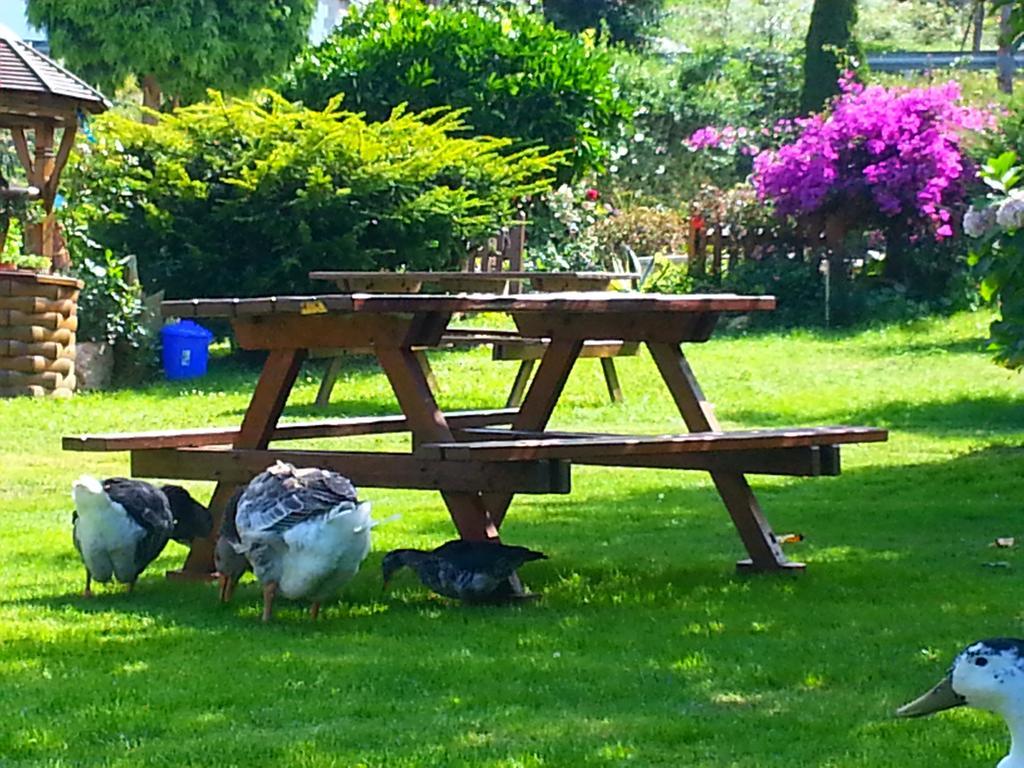 Pension Casa Elena Reinante Dış mekan fotoğraf